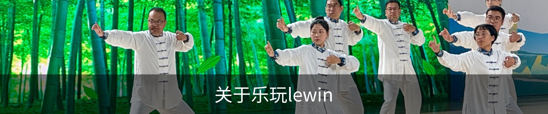 关于乐玩lewin